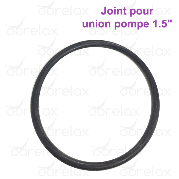 Joint pour Union Pompe pour SPA 1.5″