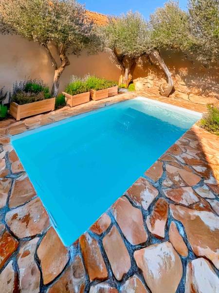 Intégration réussie de la piscine Mahina à Saint-Victoret, entourée d’oliviers et de pierres naturelles