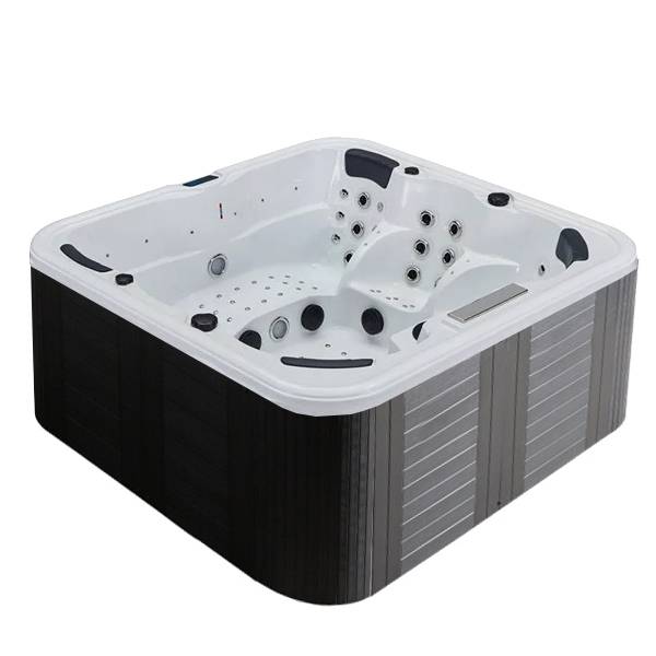 Spa 6 places avec allongée à Plan-de-Cuques