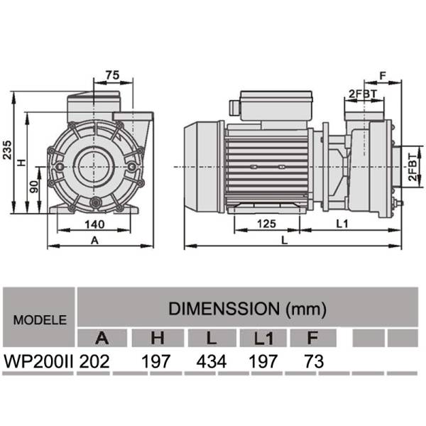 POMPE pour SPA WP200 lx Whirlpool Bi-vitesse